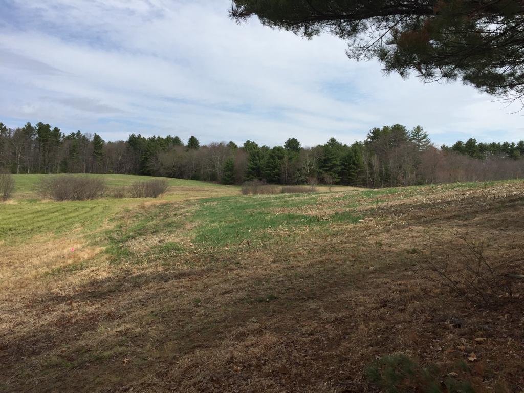 Tbd Duston Road Salem, NH 03079 - Photo 2 of 4
