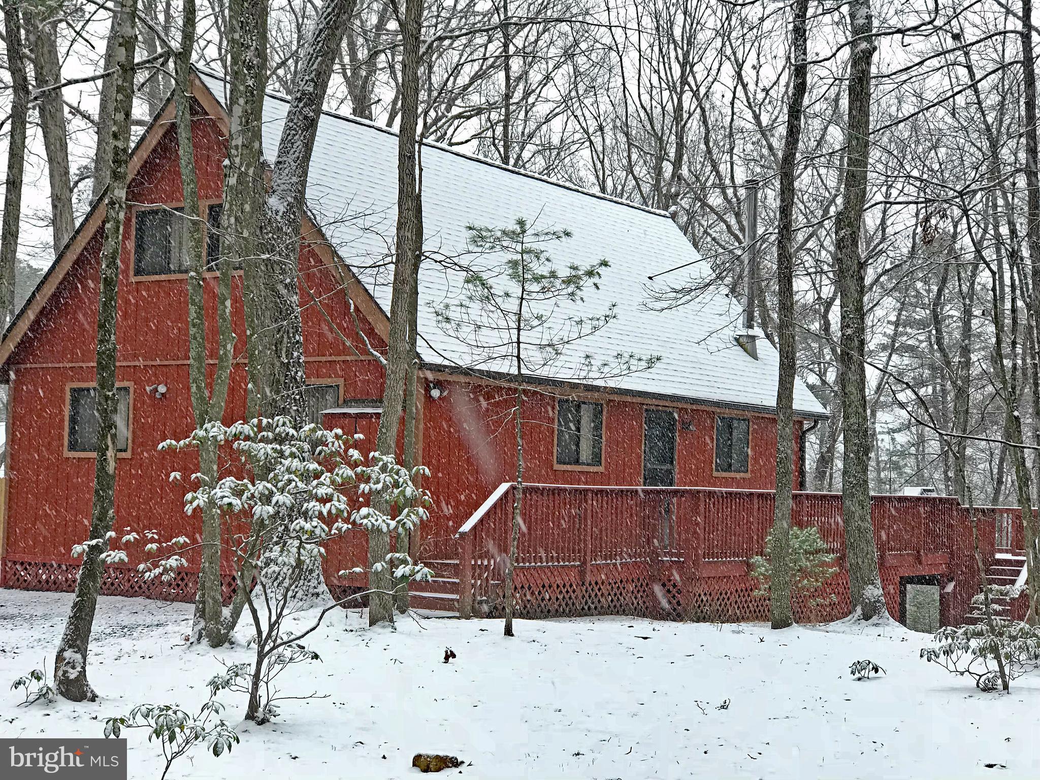 335 Connie Road Basye, VA 22810 - Photo 1 of 30 FIRST SNOW at 335 Connie Road
