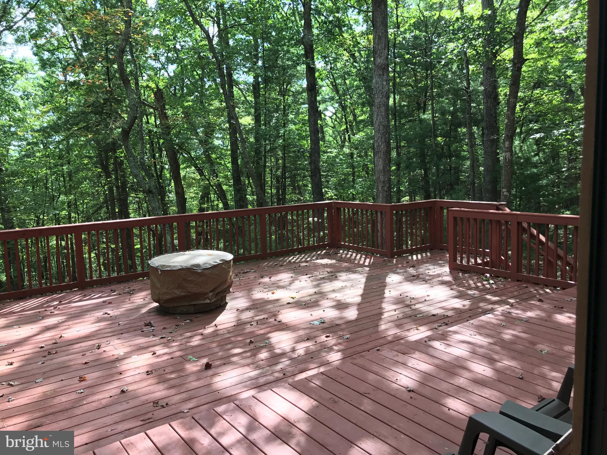 335 Connie Road Basye, VA 22810 - Photo 11 of 30 Room for pancake breakfasts al fresco lunches.