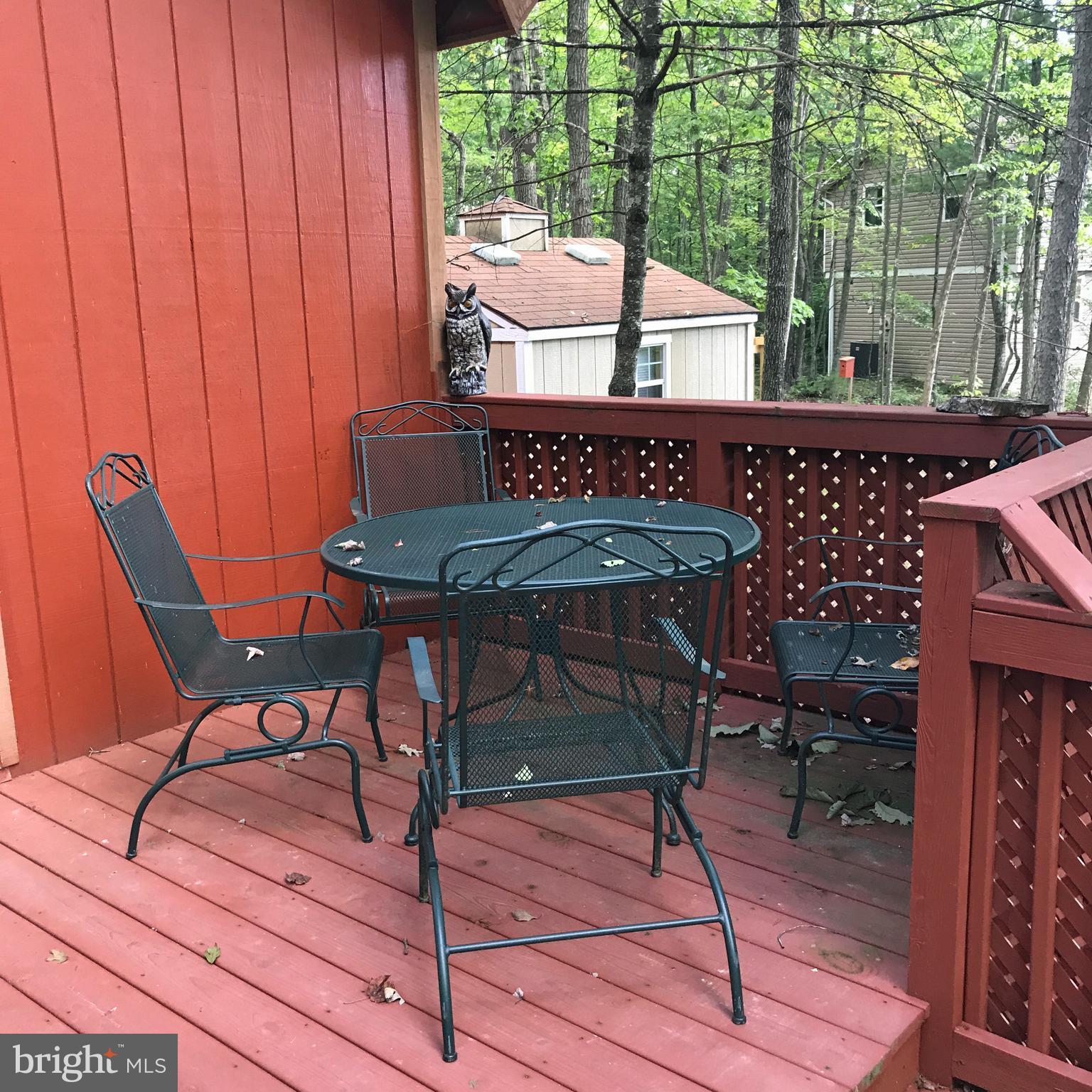 335 Connie Road Basye, VA 22810 - Photo 12 of 30 Dining on the deck with one of three owls.