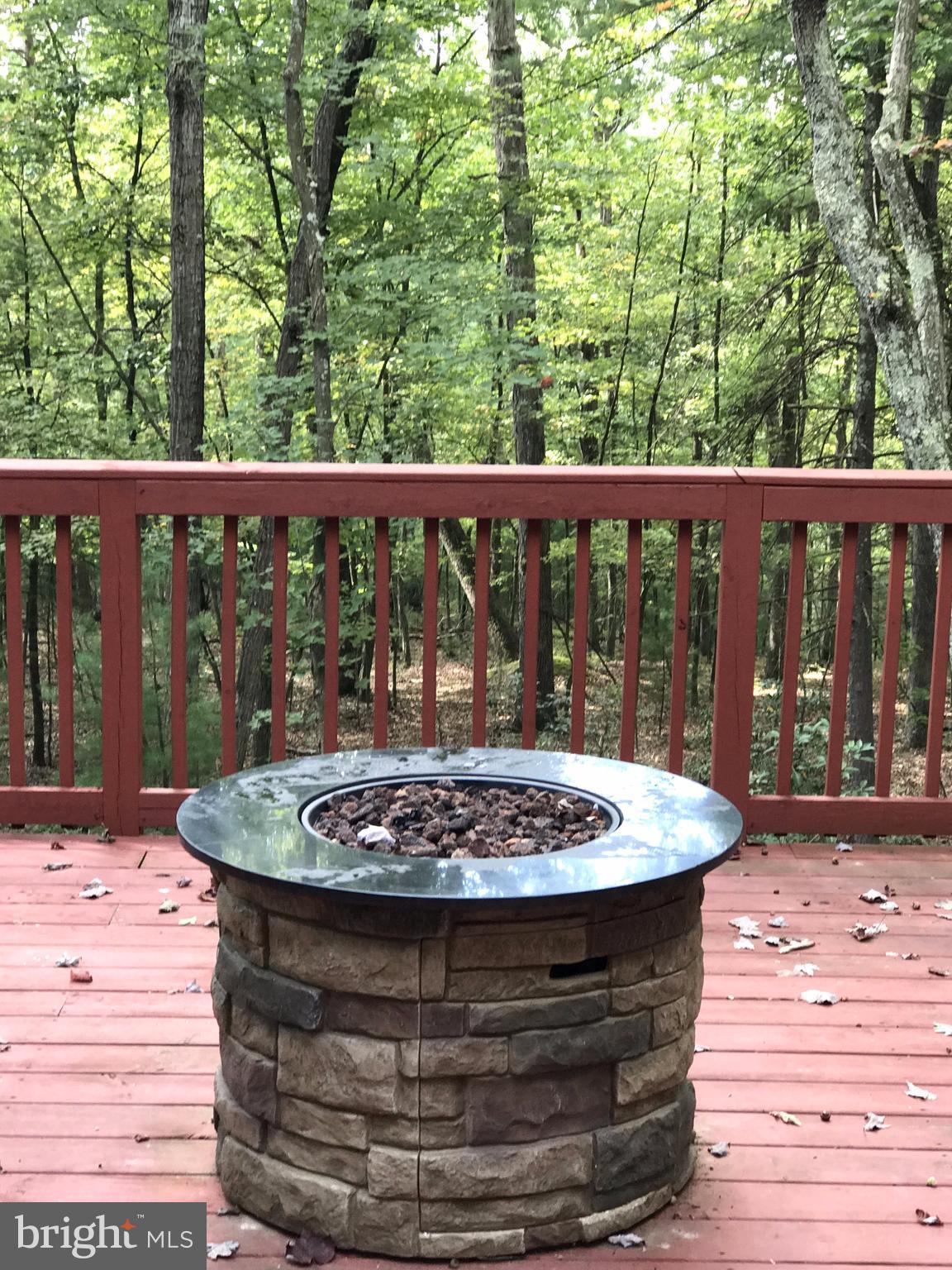 335 Connie Road Basye, VA 22810 - Photo 13 of 30 Firepit allows for warmth while stargazing
