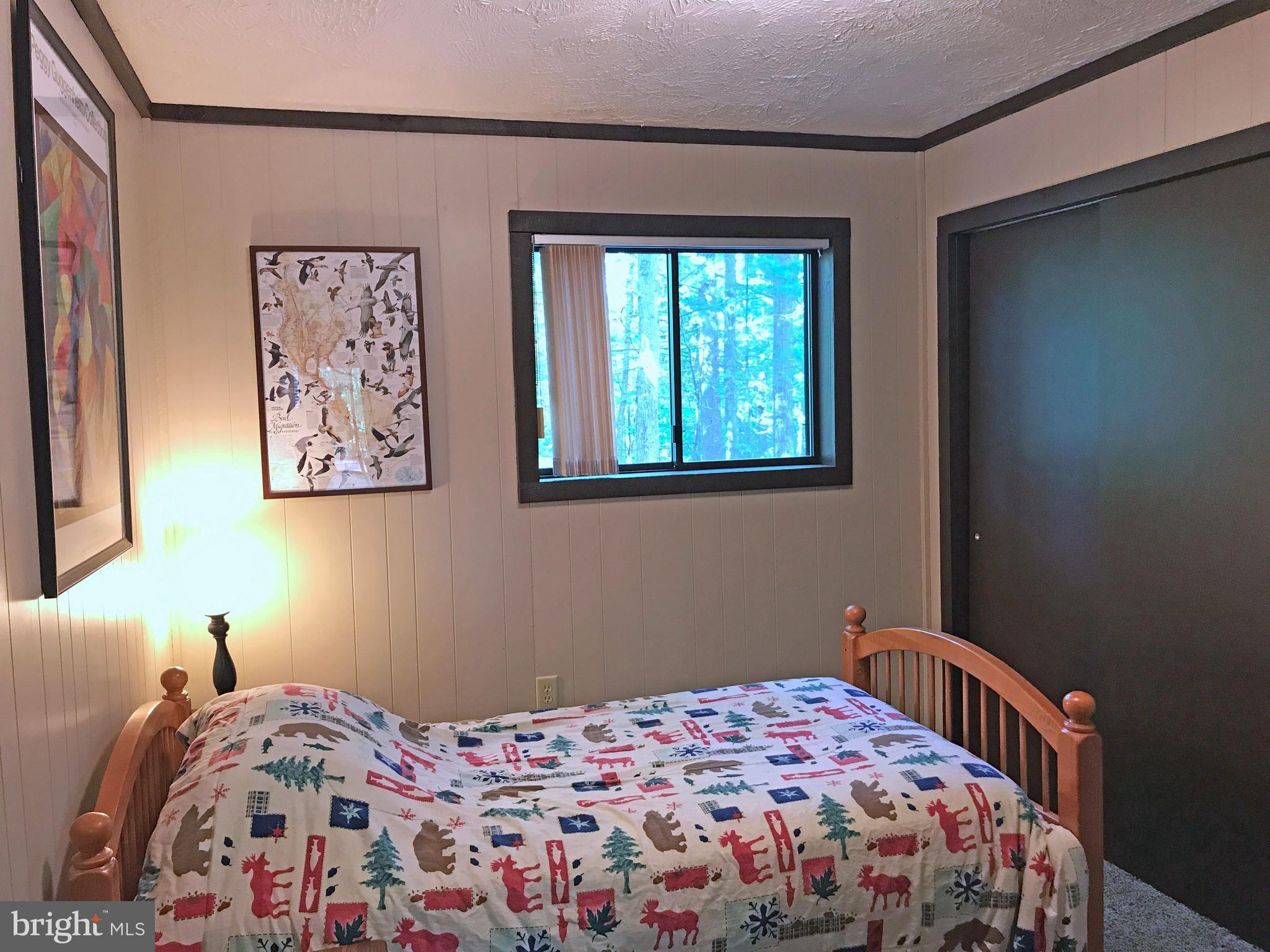 335 Connie Road Basye, VA 22810 - Photo 20 of 30 Main level bedroom; includes stacked washer-dryer