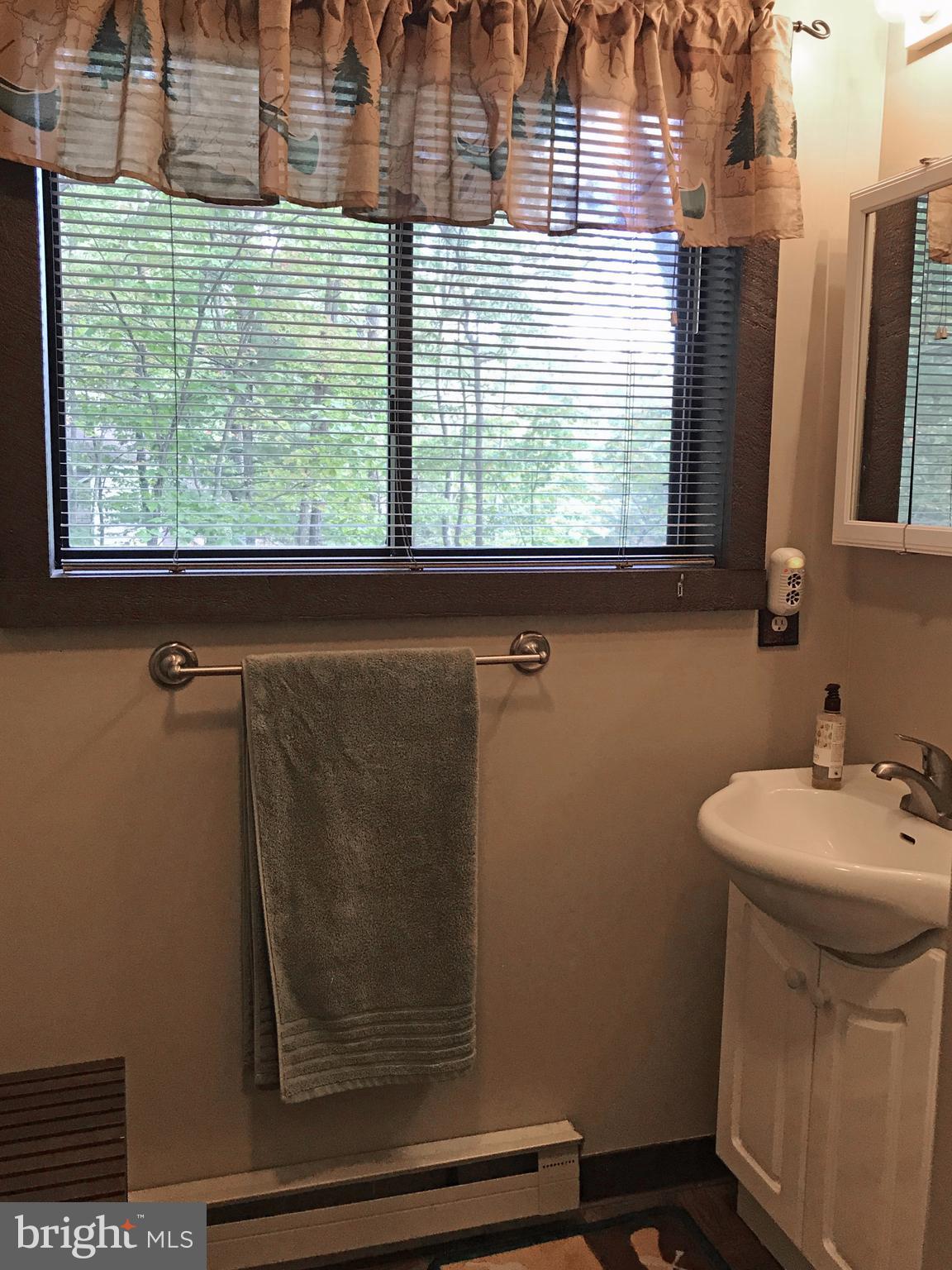 335 Connie Road Basye, VA 22810 - Photo 22 of 30 Loft Master Bath with Shower