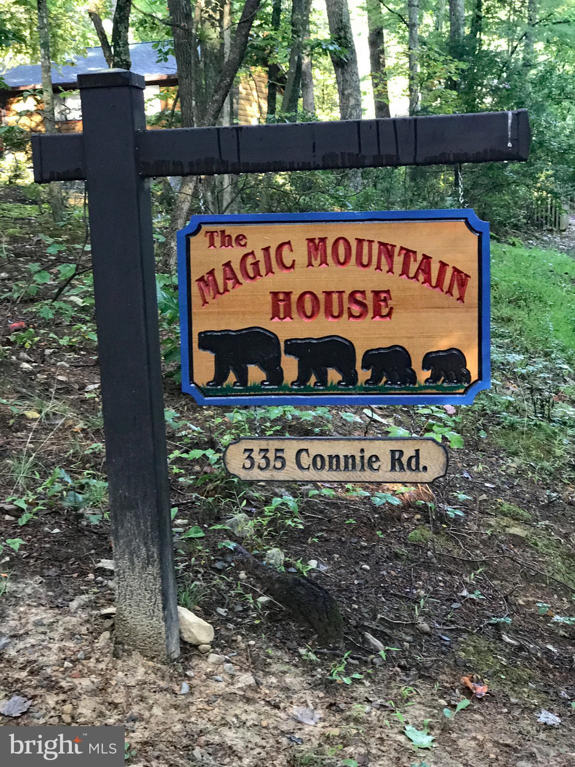 335 Connie Road Basye, VA 22810 - Photo 3 of 30 The Magic Mountain House, 335 Connie Road