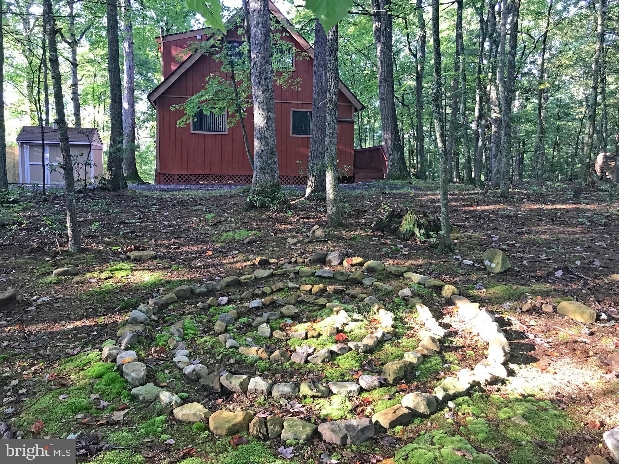 335 Connie Road Basye, VA 22810 - Photo 6 of 30 Deep woodland garden, with lichen & mosses