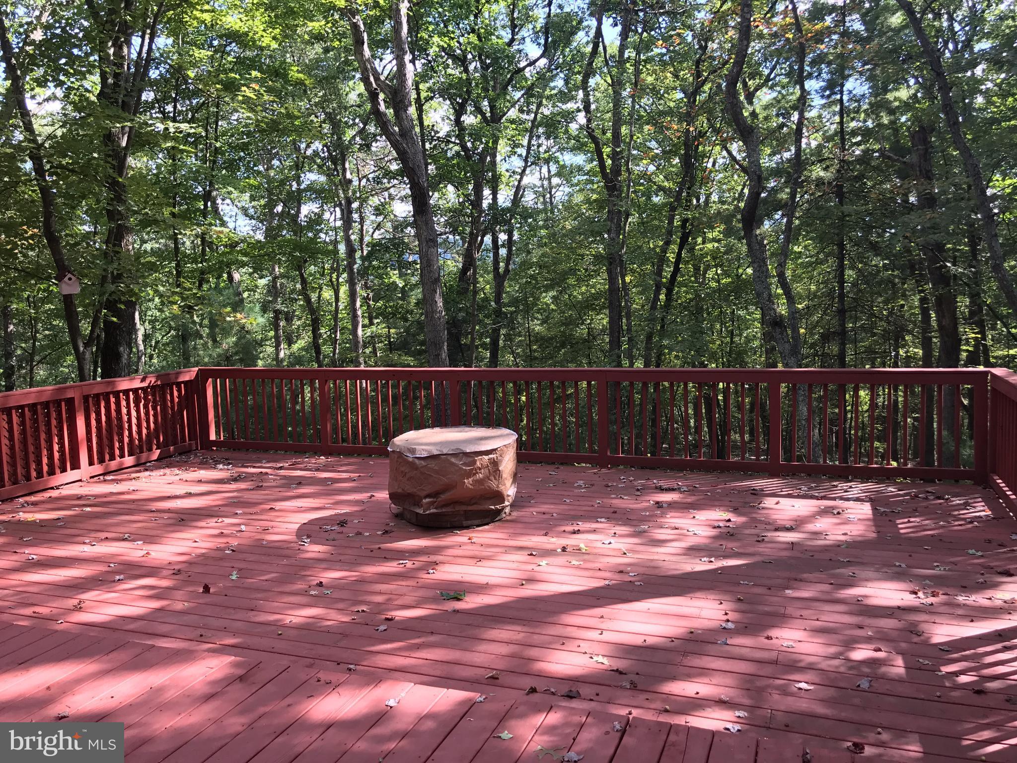 335 Connie Road Basye, VA 22810 - Photo 10 of 30 Magnificent deck brings the outside in.