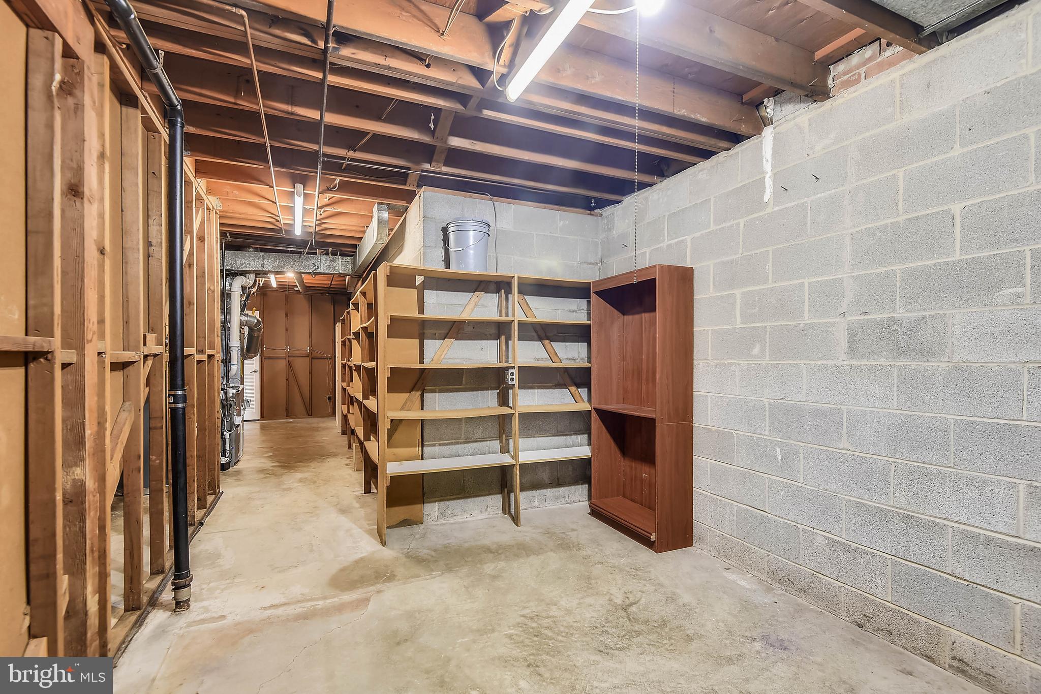 2405 Paddock Lane Reston, VA 20191 - Photo 36 of 50 Massive amount of shelved lower level storage