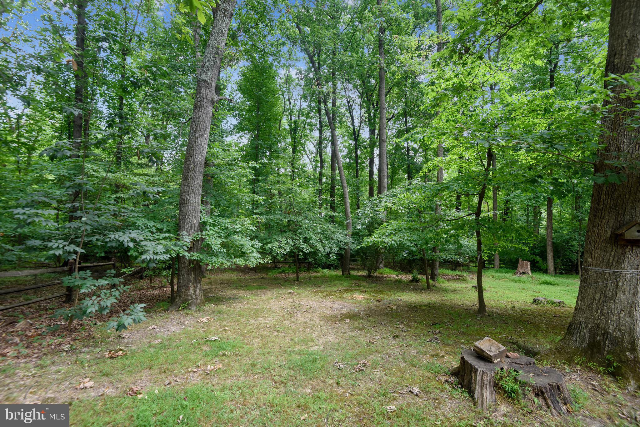 2405 Paddock Lane Reston, VA 20191 - Photo 40 of 50 Terrific wooded lot!