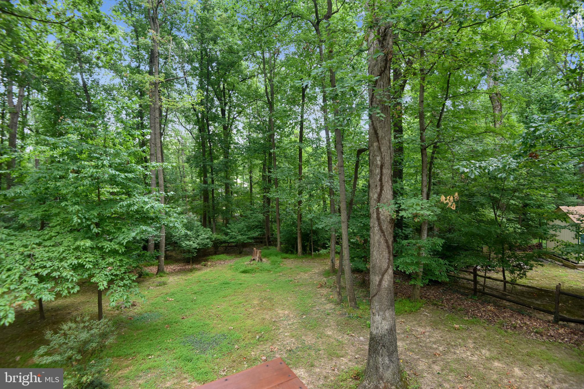 2405 Paddock Lane Reston, VA 20191 - Photo 45 of 50 This is nice don't you think?