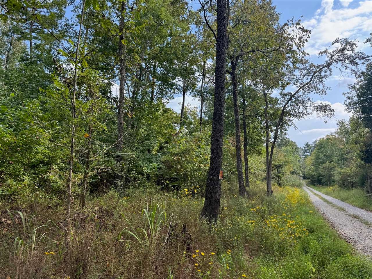 1250 Ashby Road Centertown, KY 42328 - Photo 19 of 25 Gallery Image 19