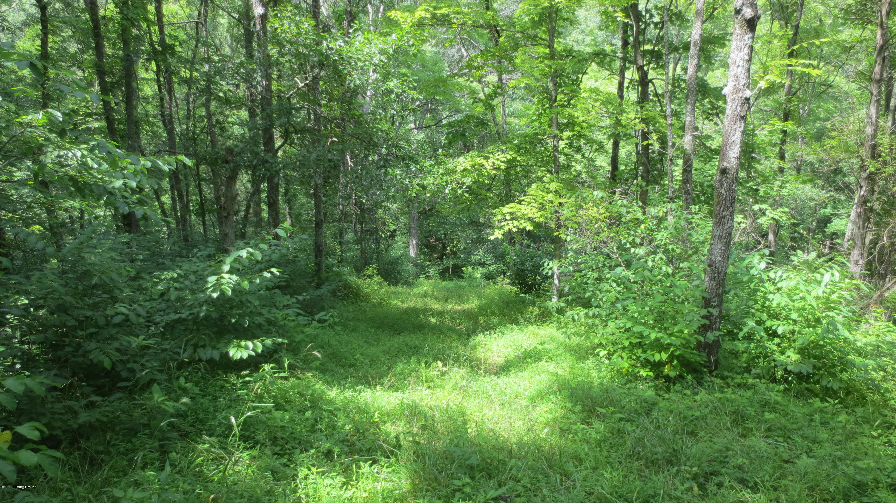 1160 Mt Gilead Road New Castle, KY 40050 - Photo 16 of 24 IMG_0692