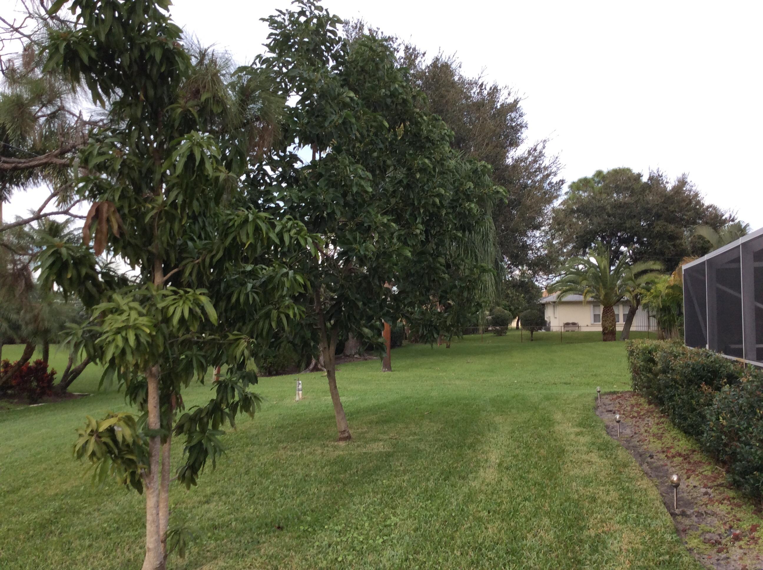 3380 Southwest Crestview Road Port St. Lucie, FL 34953 - Photo 54 of 67 image
