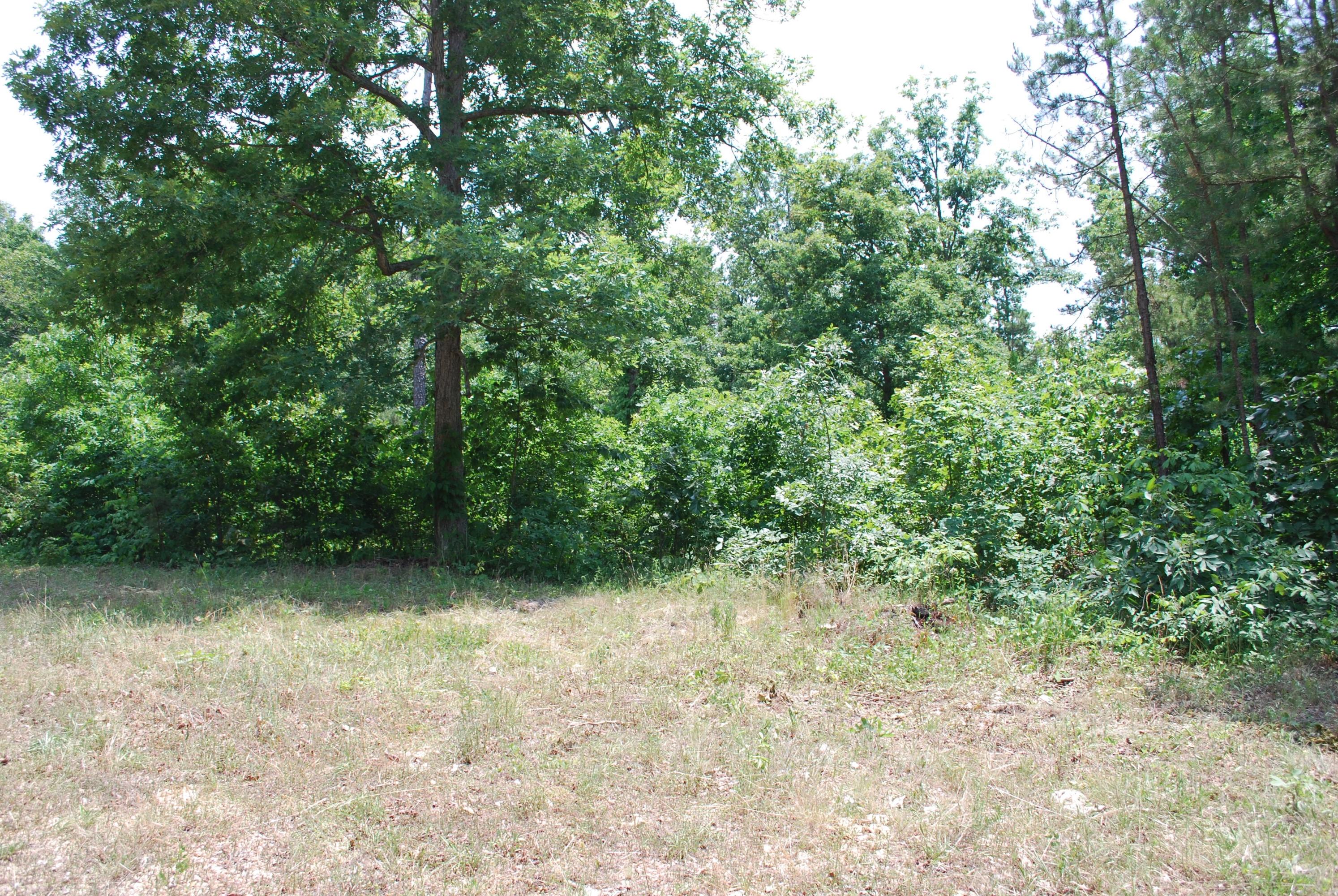 9560 Splt Limb Road Raymondville, MO 65555 - Photo 1 of 1 2012-05-261