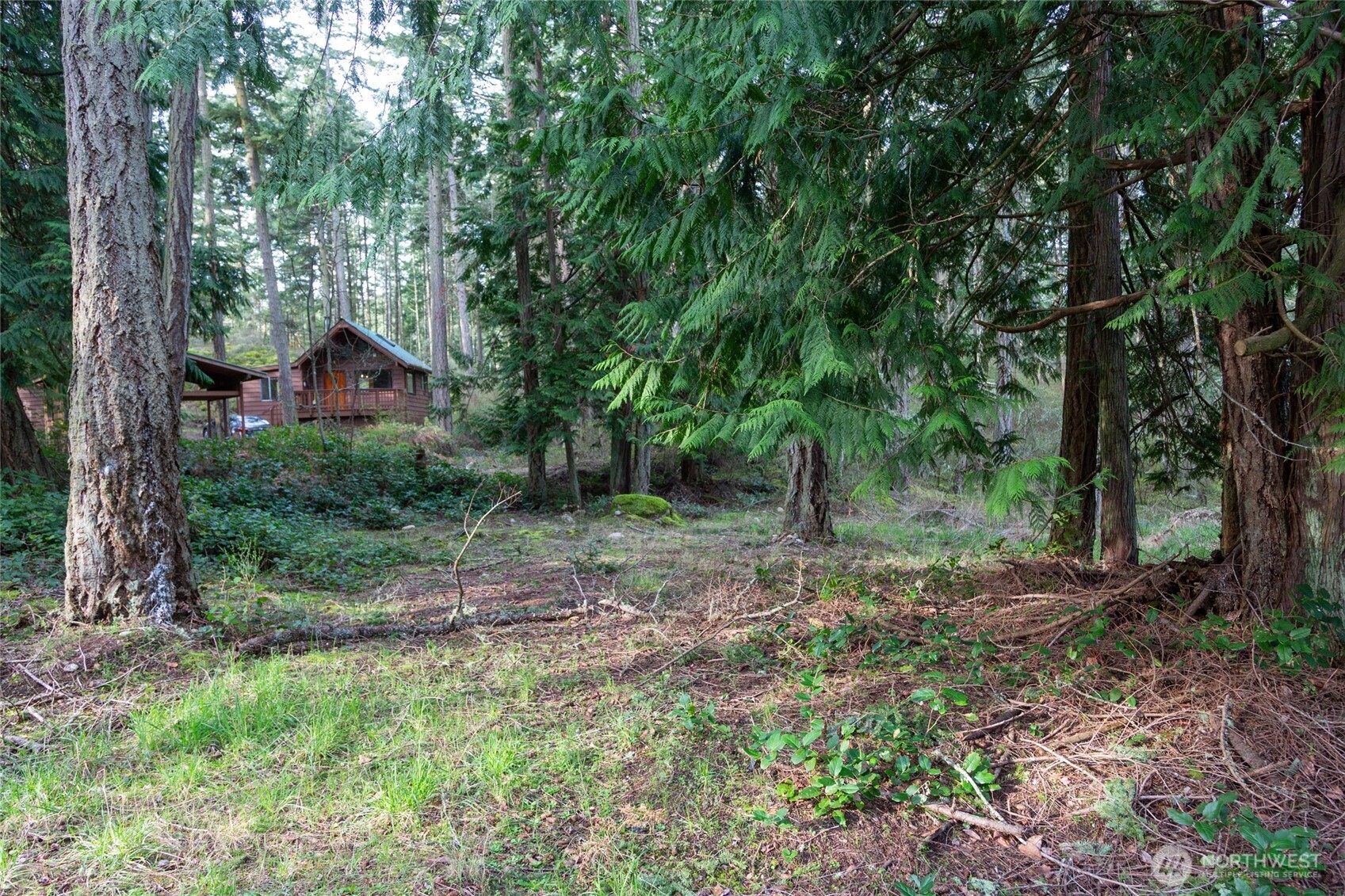 87 Conifer Lane Friday Harbor, WA 98250 - Photo 5 of 8 a view of outdoor space and yard