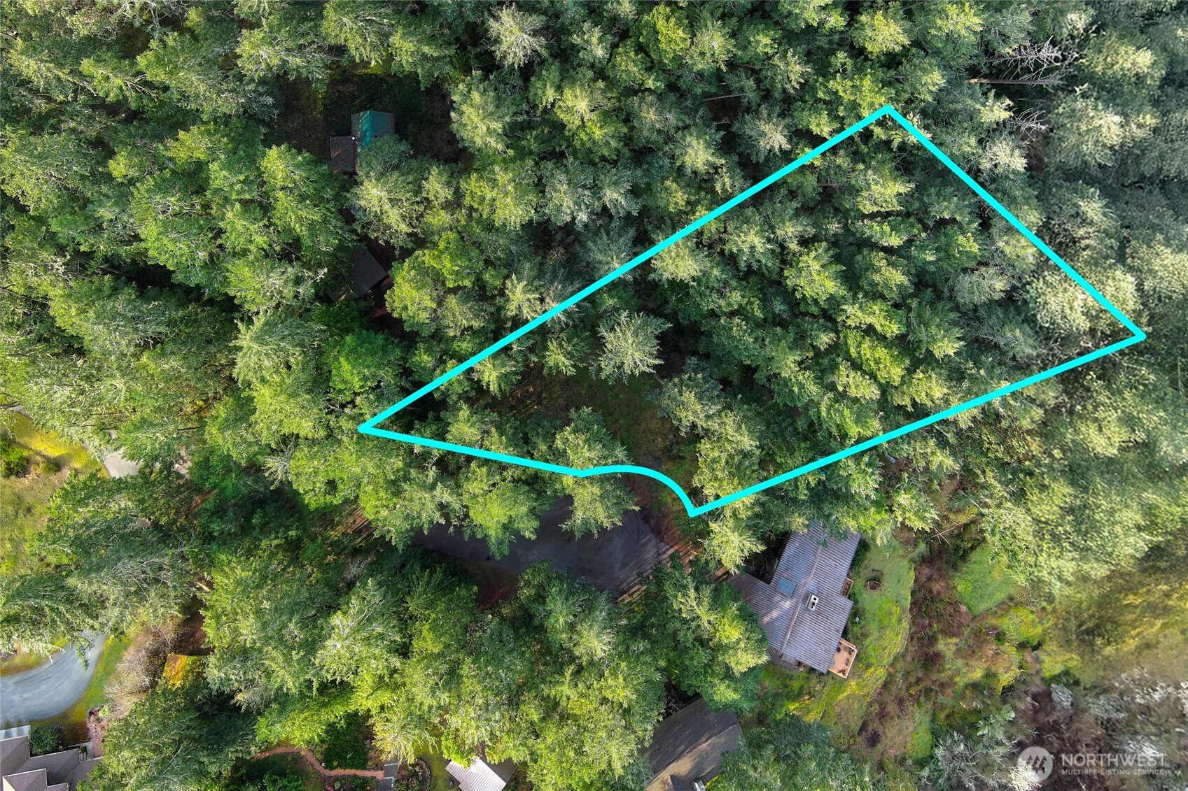 87 Conifer Lane Friday Harbor, WA 98250 - Photo 6 of 8