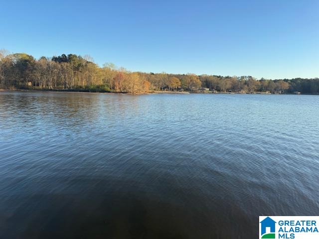 1442 Shannon Way Talladega, AL 35160 - Photo 65 of 73