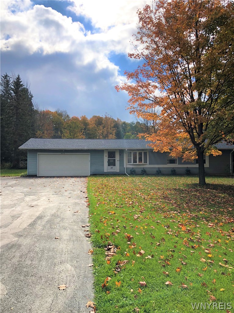 8675 Falls Road Colden, NY 14170 - Photo 1 of 1 Gallery Image 1