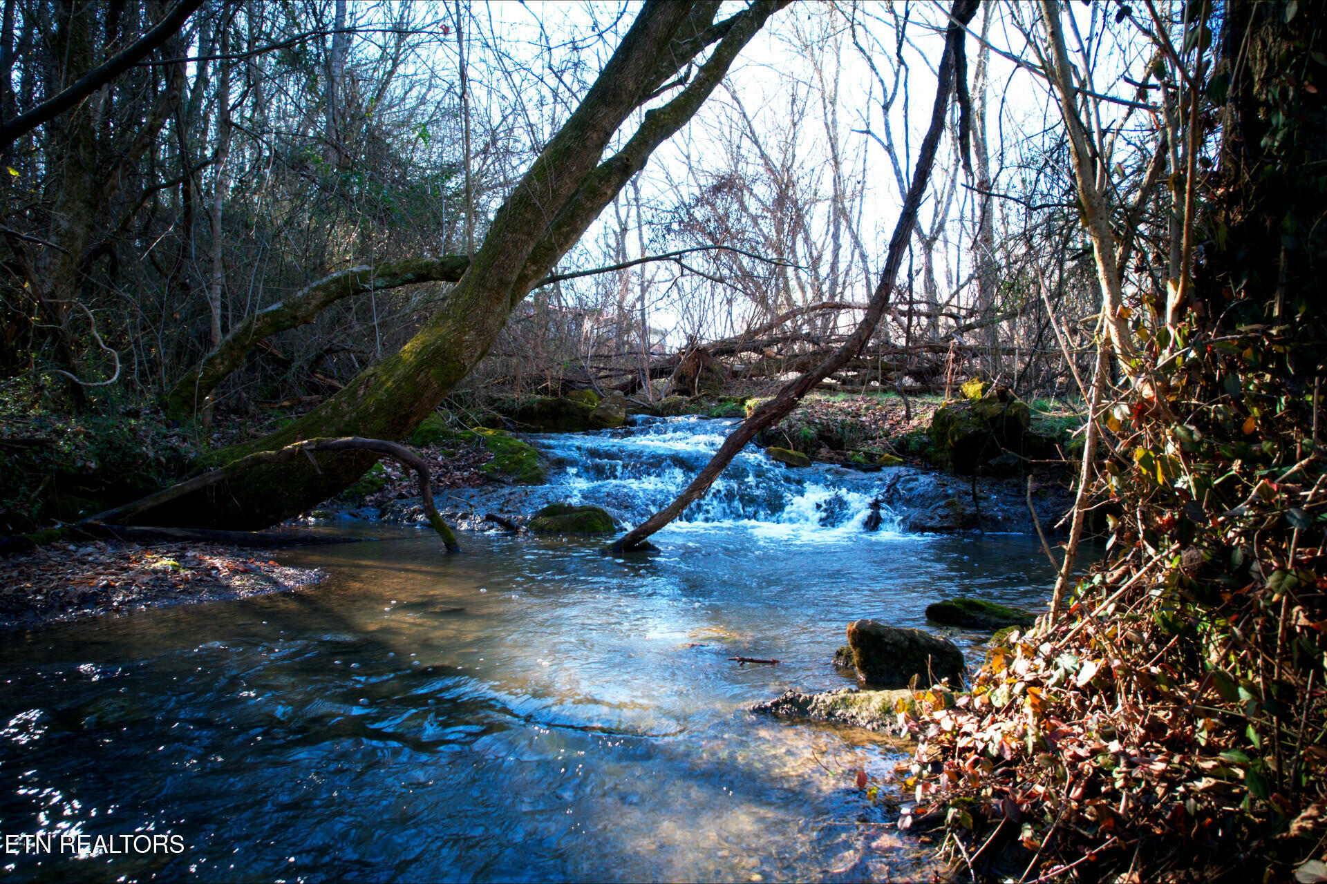 Rheatown Road Chuckey, TN 37641 - Photo 17 of 30 RheatownRd_65629_30