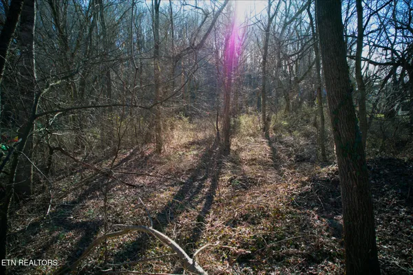 $17,500 | Rheatown Road, Chuckey, TN 37641