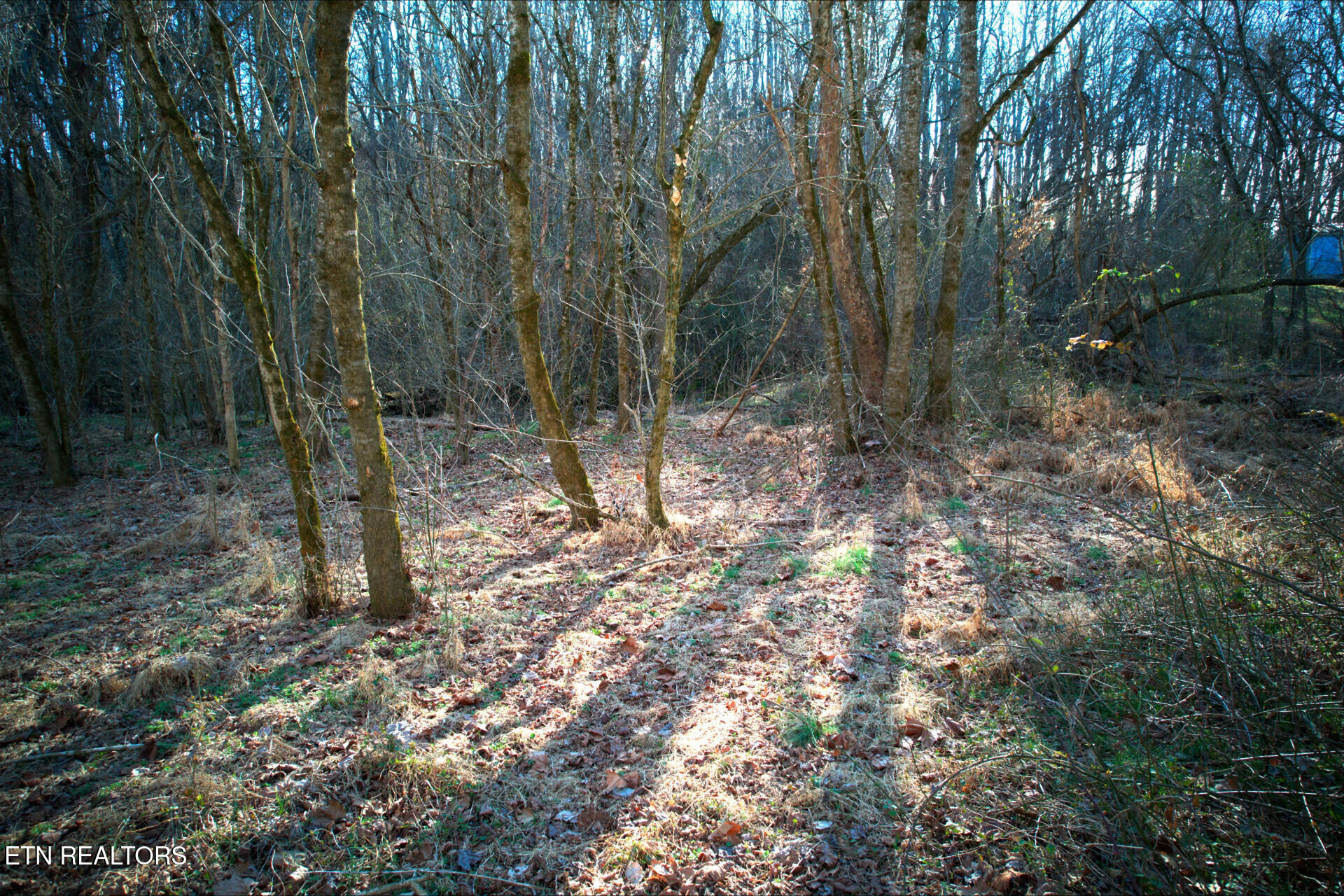 Rheatown Road Chuckey, TN 37641 - Photo 9 of 30 RheatownRd_65629_13