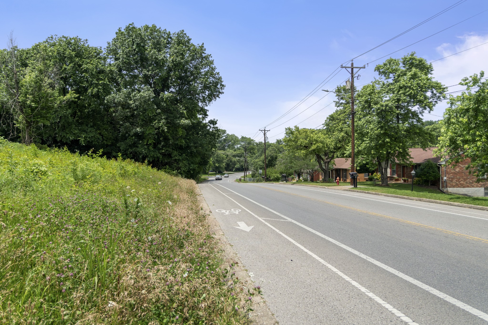 73 Tusculum Road Antioch, TN 37013 - Photo 8 of 11 a view of a road with a trees
