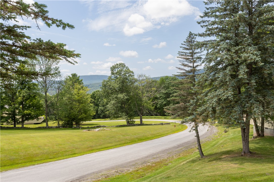 225 Woodland Drive, Unit 336 Roxbury, NY 12421 - Photo 28 of 43