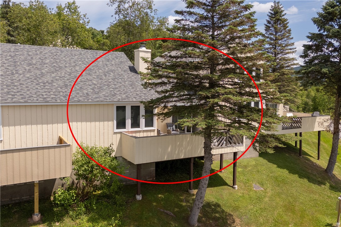 225 Woodland Drive, Unit 336 Roxbury, NY 12421 - Photo 30 of 43