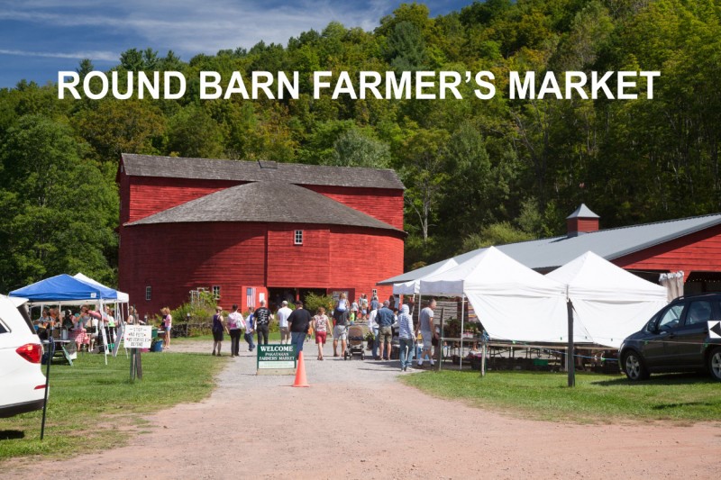 225 Woodland Drive, Unit 336 Roxbury, NY 12421 - Photo 43 of 43