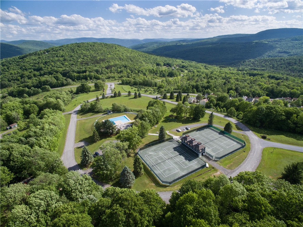 225 Woodland Drive, Unit 336 Roxbury, NY 12421 - Photo 5 of 43