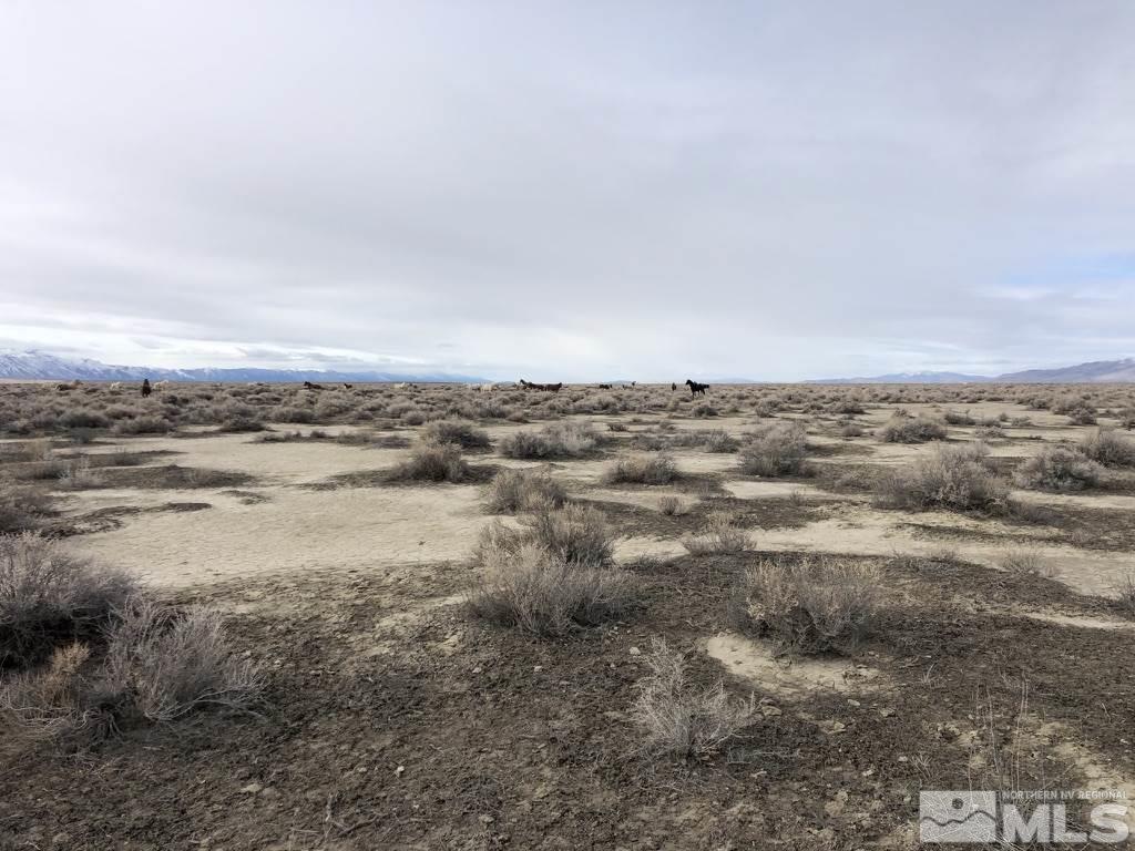 Apn 7421104th Reno, NV 89510 - Photo 8 of 20 Photo 8