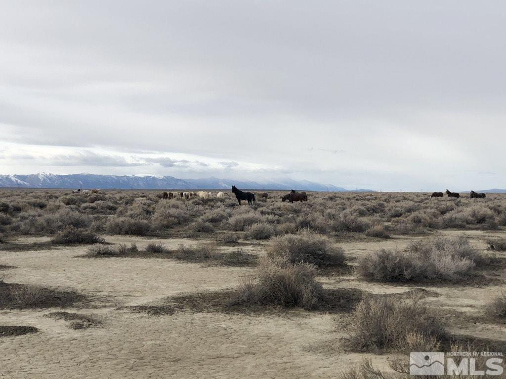 Apn 7421104th Reno, NV 89510 - Photo 10 of 20 Photo 10
