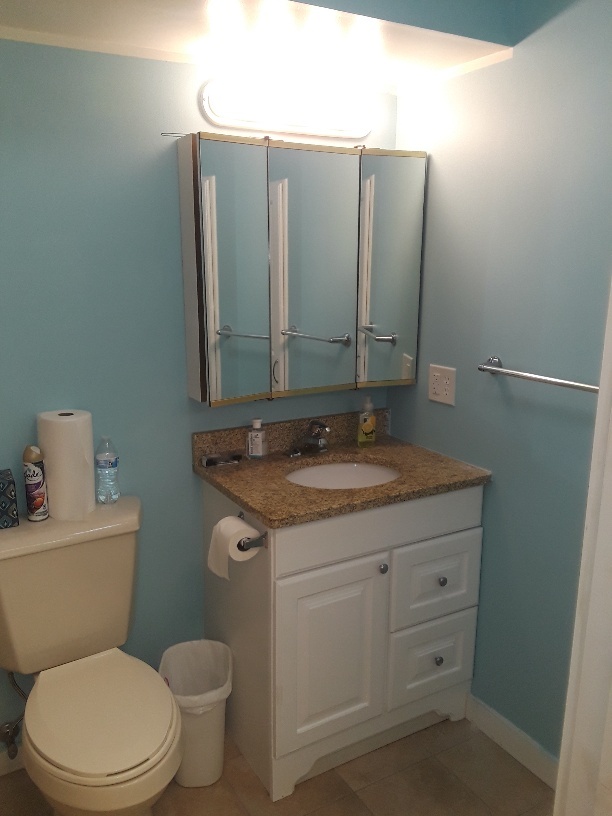 1019 Shagbark Road, Unit 1E New Lenox, IL 60451 - Photo 8 of 15 a bathroom with a granite countertop toilet sink and mirror