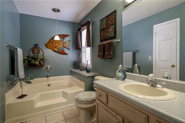 376 Blue Door Road Portland, TN 37148 - Photo 10 of 20 Gallery Image 10