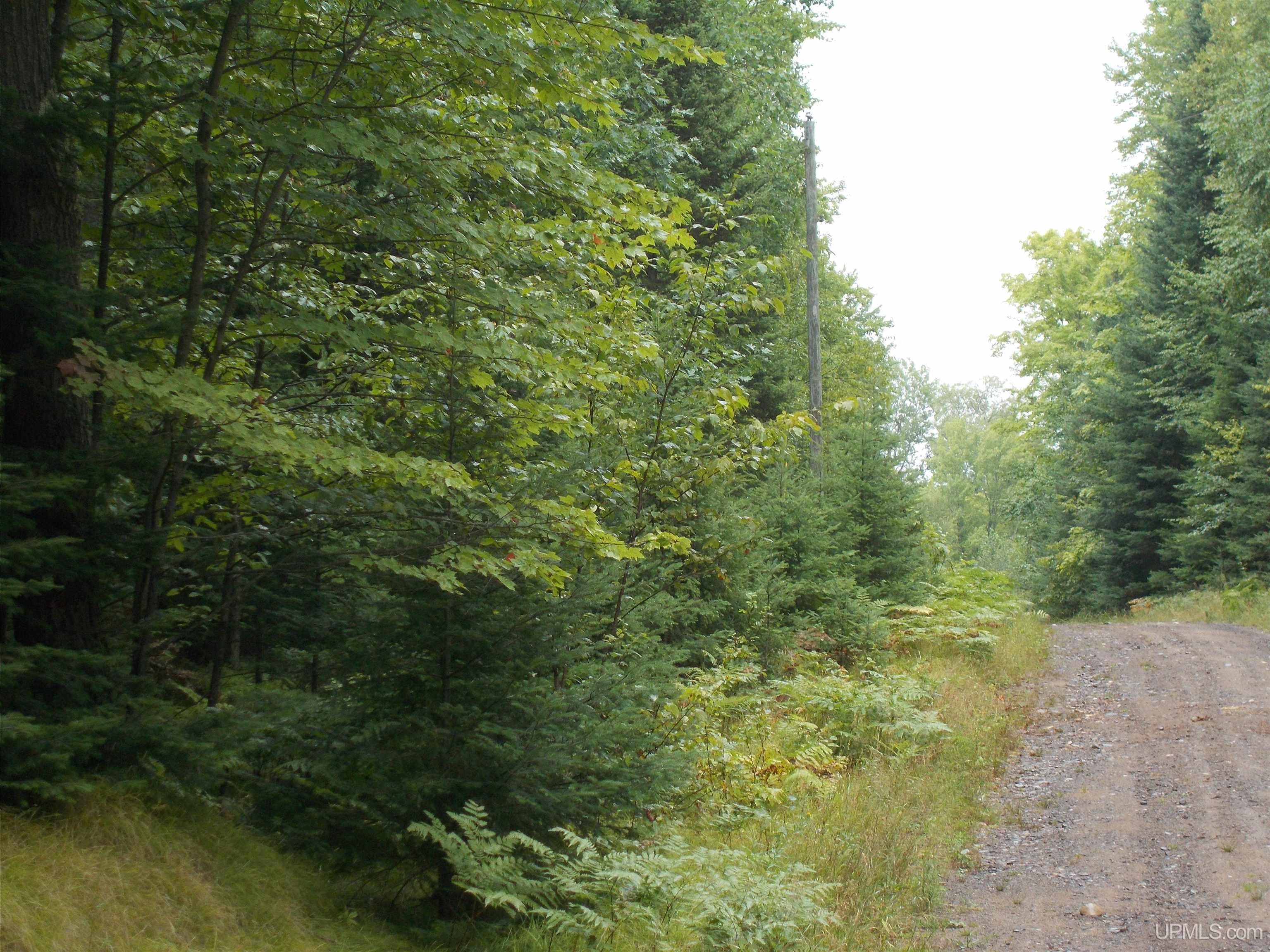T-wi Turtle Creek Road Florence, WI 54121 - Photo 8 of 10
