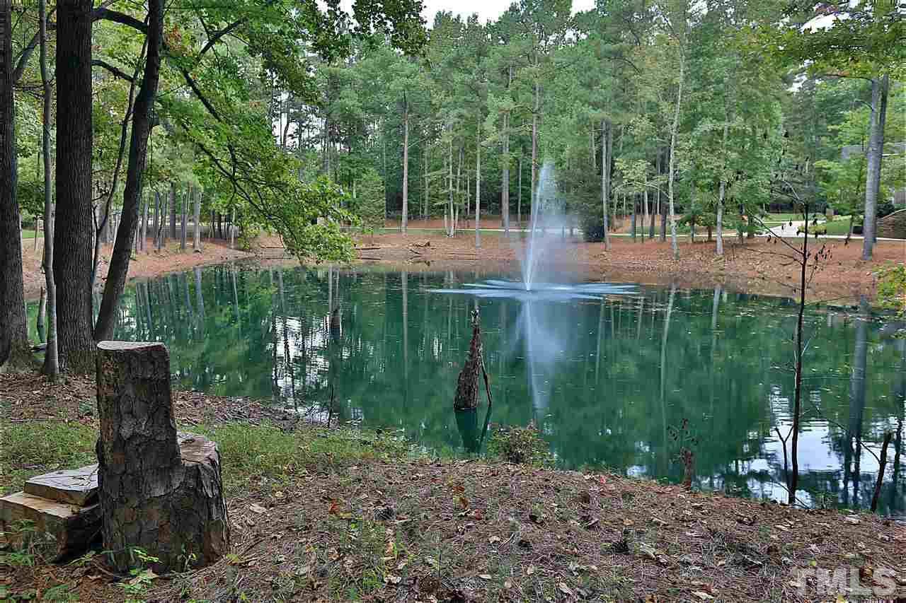 113 Trotters Ridge Drive Raleigh, NC 27614 - Photo 3 of 25 Beautiful Pond that Backs up to this Property but is Owned and Maintained by Neighbor.