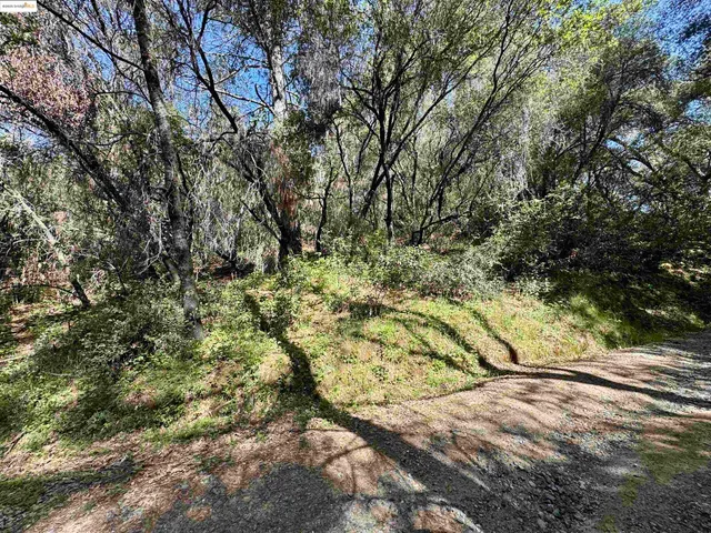 $70,000 | 21893 Sawmill Flat Road, Sonora, CA 95370