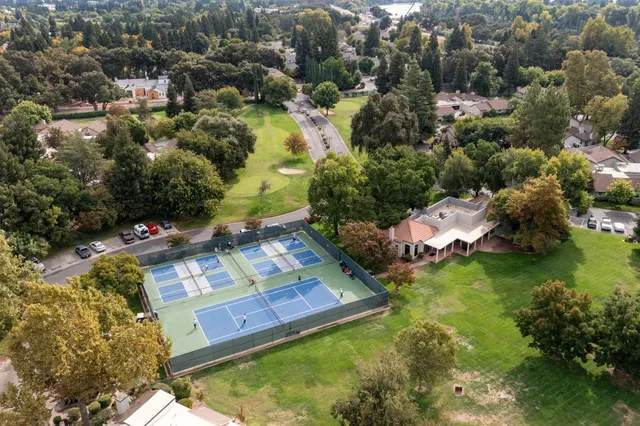 a view of a park with plants and large trees