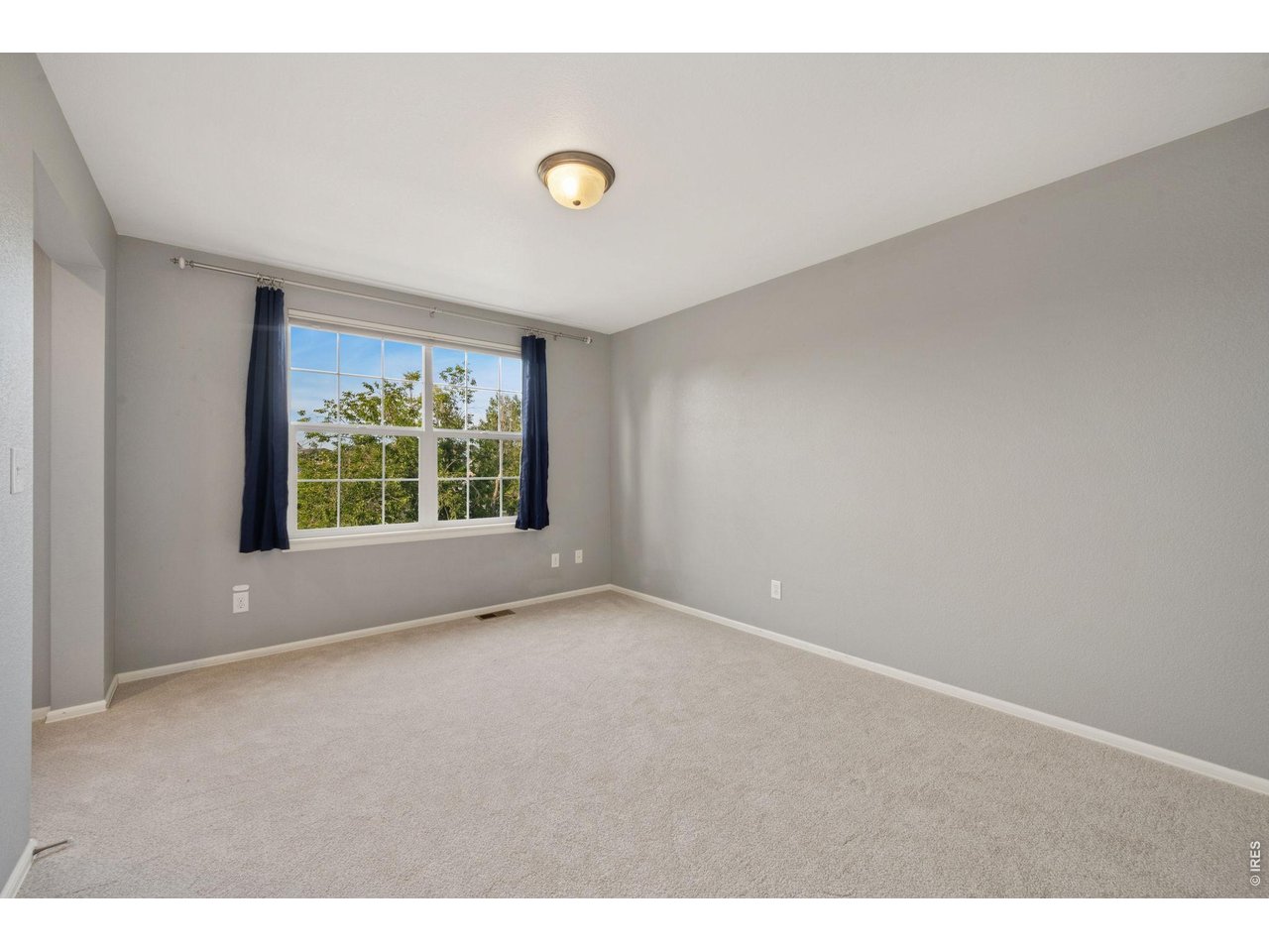6363 Spring Valley Road Timnath, CO 80547 - Photo 31 of 43 3rd bedroom