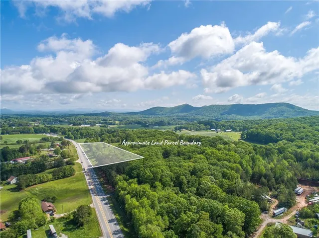 a view of a city with lush green forest