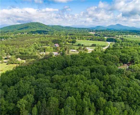 a view of a city with lush green forest