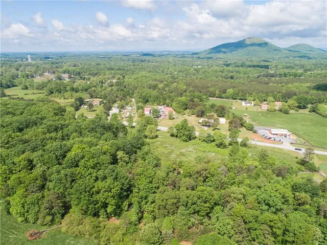 a view of a field with an trees