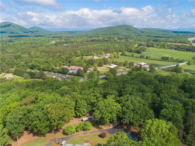 a view of a city with lush green forest