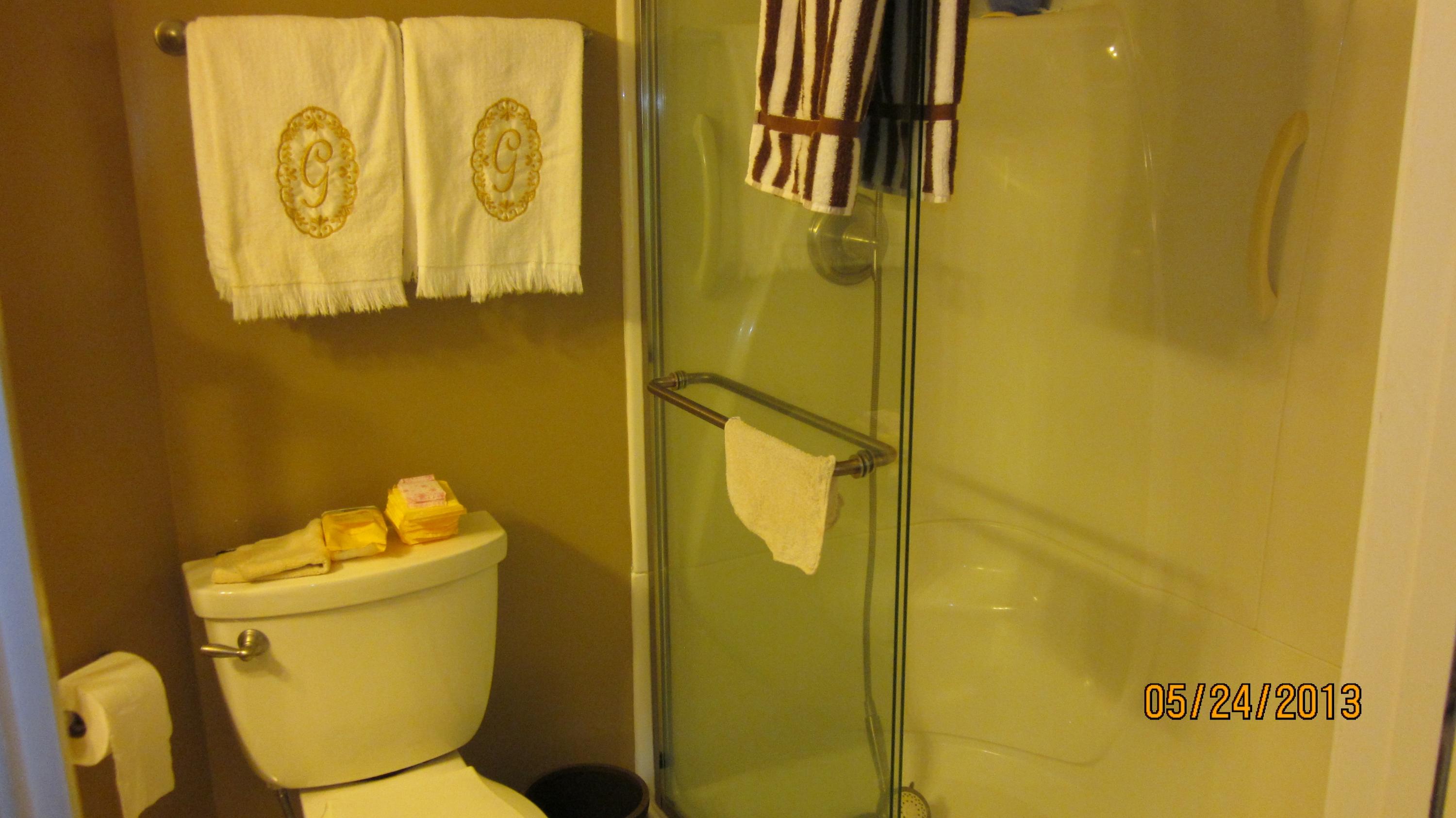 454 Monty Road Boones Mill, VA 24065 - Photo 13 of 54 Master Bath