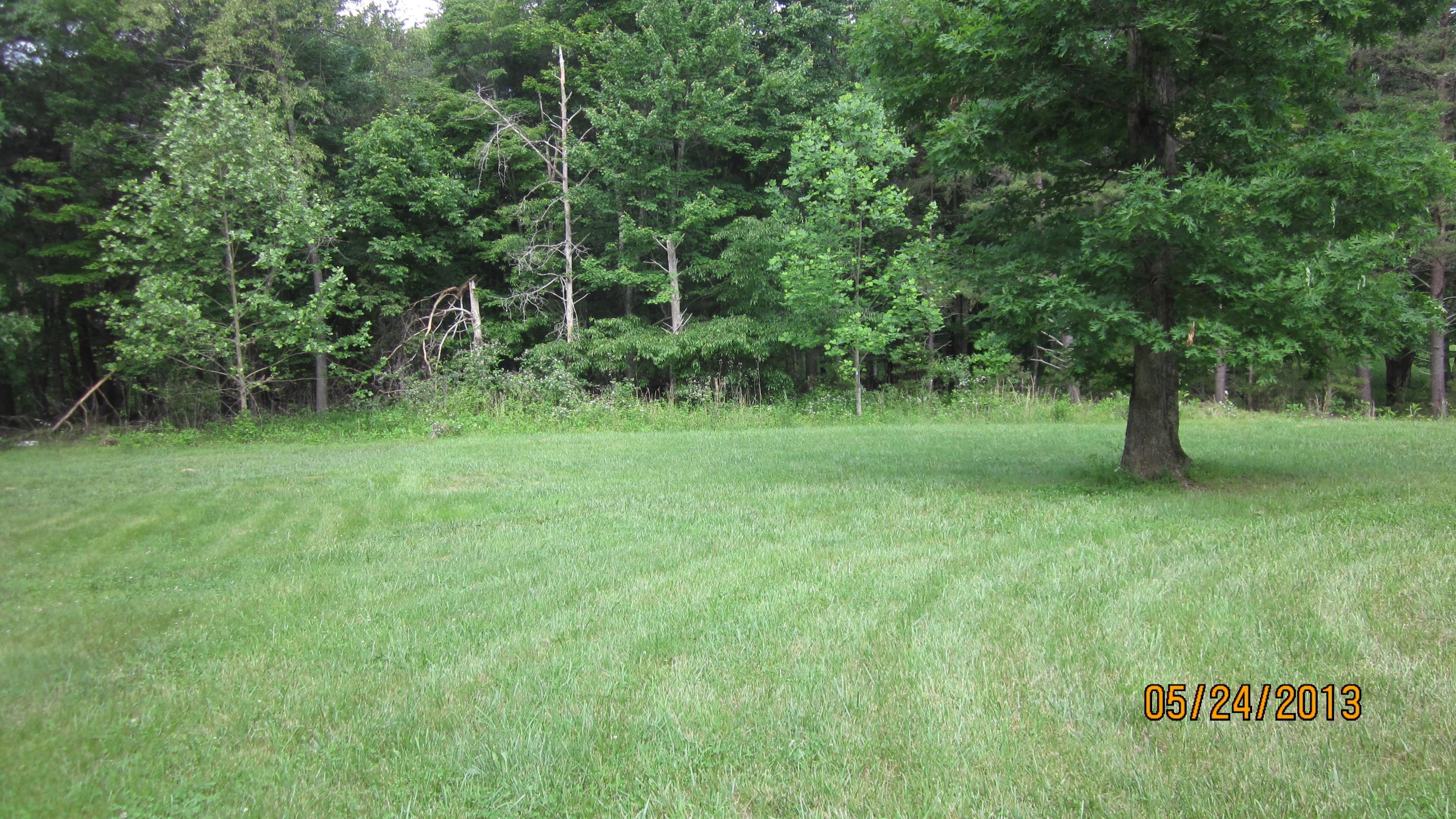 454 Monty Road Boones Mill, VA 24065 - Photo 42 of 54 Rear Yard