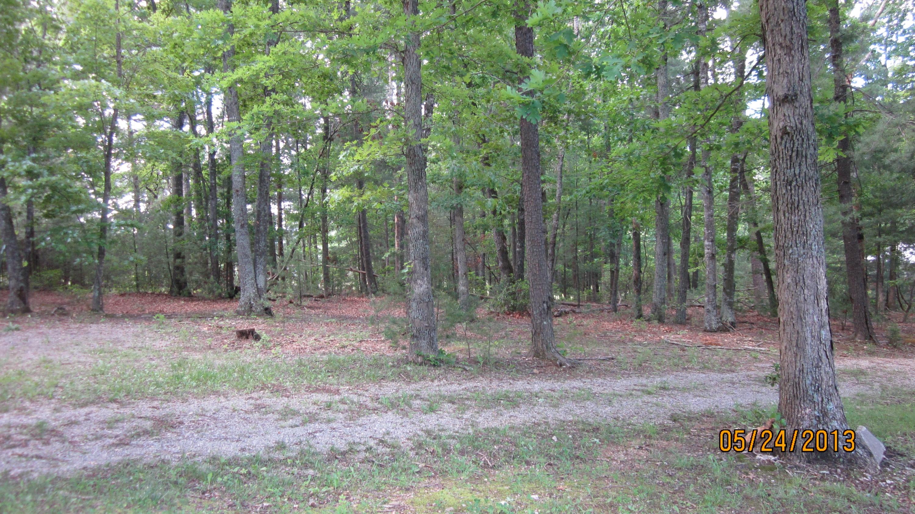 454 Monty Road Boones Mill, VA 24065 - Photo 44 of 54 Yard