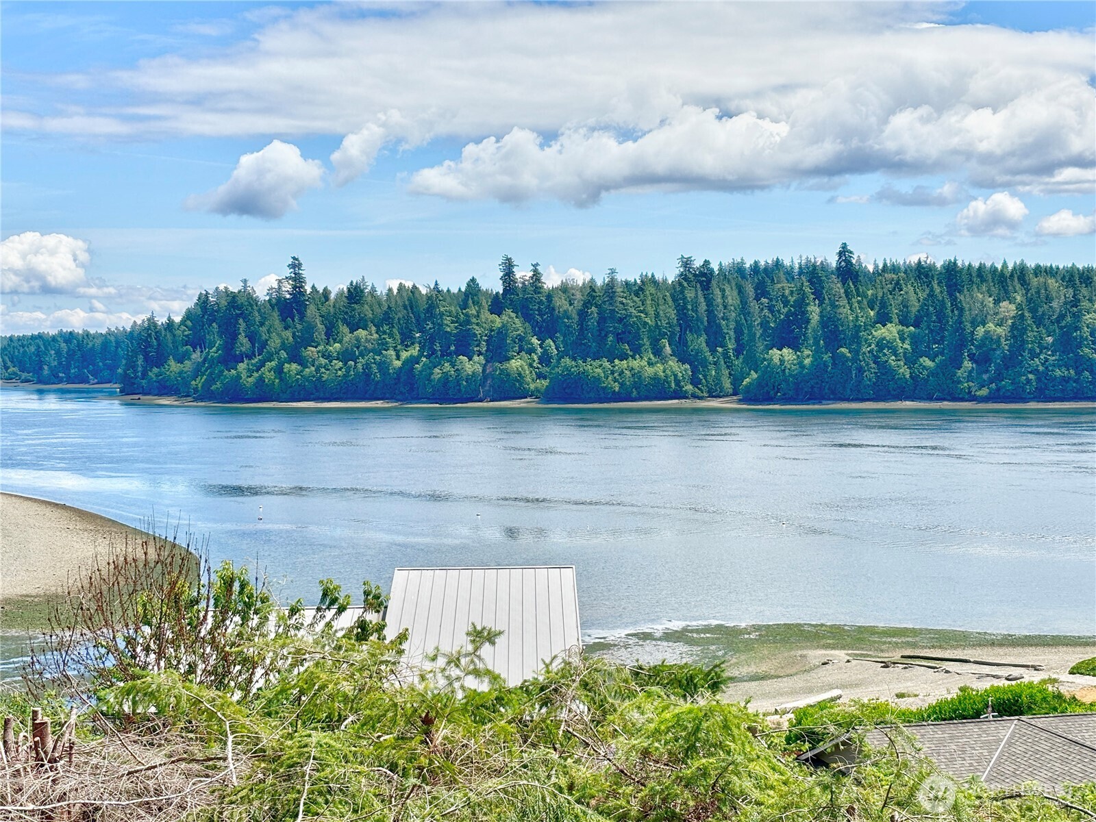 81 East Panorama Way Grapeview, WA 98546 - Photo 18 of 21 a view of a lake