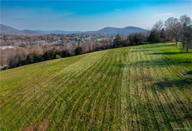 a view of a lush green outdoor space with a lake view