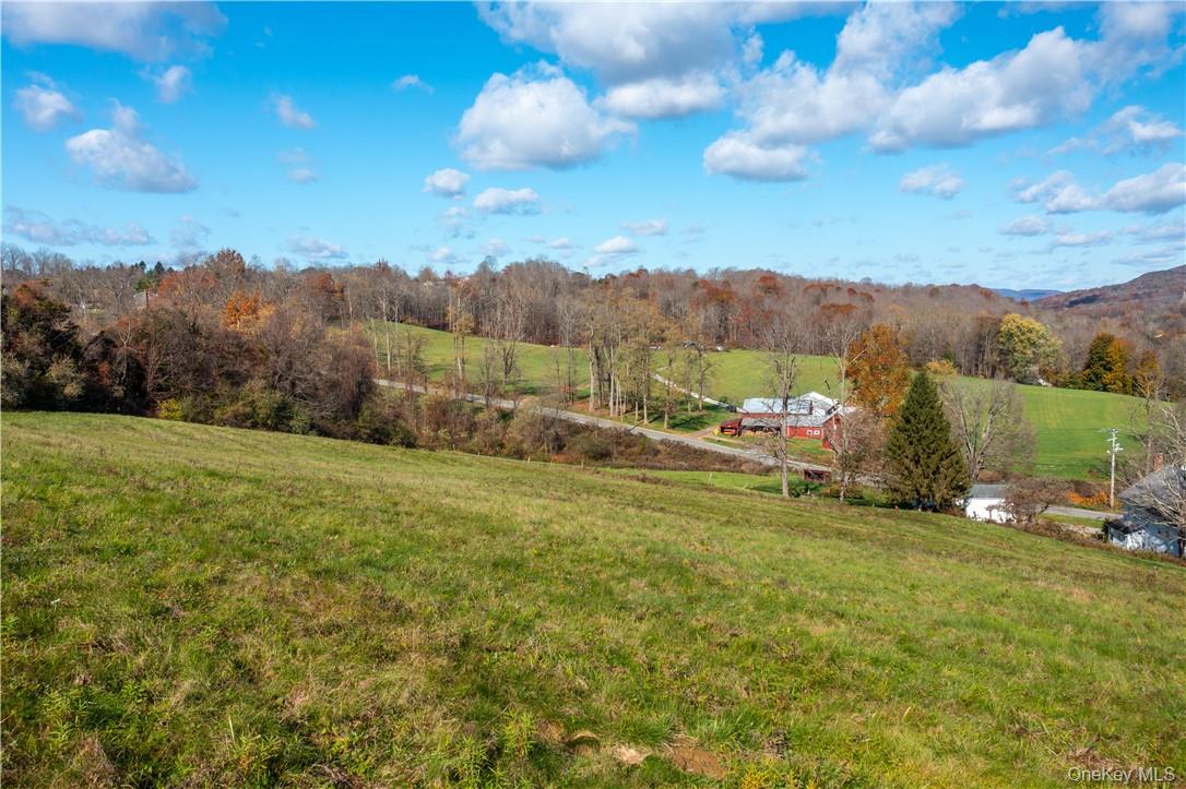 Cricket Hill Road Dover Plains, NY 12594 - Photo 6 of 9 a view of outdoor space with mountain view