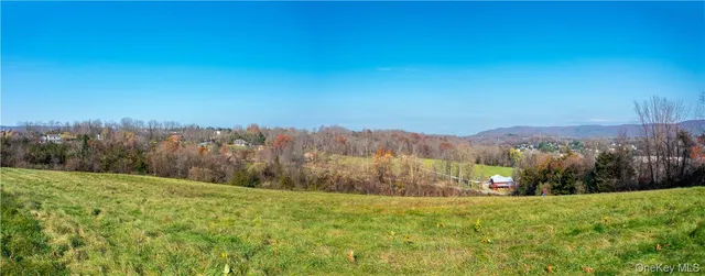a view of a lush green space with mountain in the background