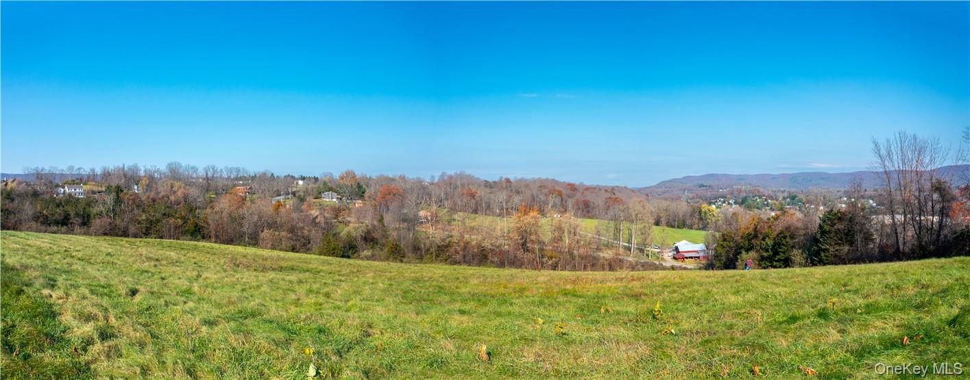 Cricket Hill Road Dover Plains, NY 12594 - Photo 7 of 9 a view of a lush green space with mountain in the background